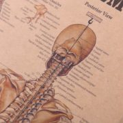 skull poster skull poster